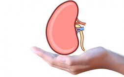 acute kidney injury teaser