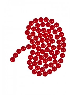 kidney image made of small red balls